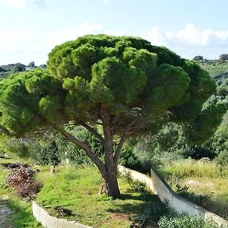 Koukounaries شقة Skala (Kefalonia)