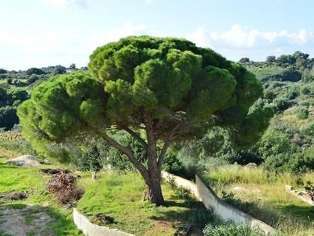 Koukounaries Apartmán Skala (Kefalonia)