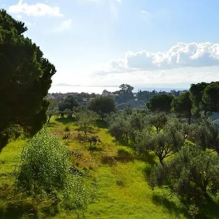 Koukounaries * Skala (Kefalonia)