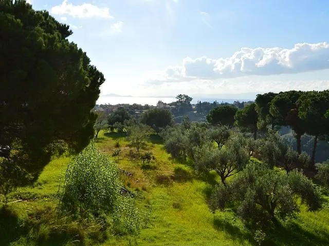 Koukounaries * Skala (Kefalonia)