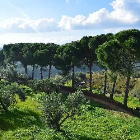 Koukounaries Appartamento *