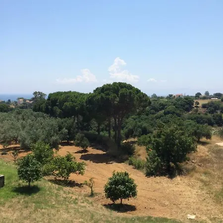 Koukounaries Appartement Skala (Kefalonia)
