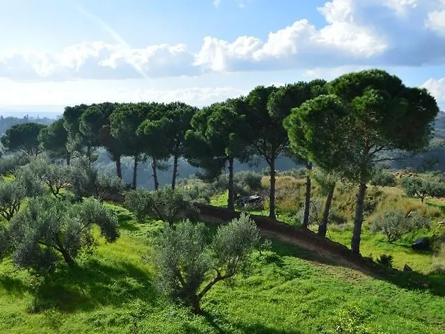 아파트 Koukounaries Skala (Kefalonia)